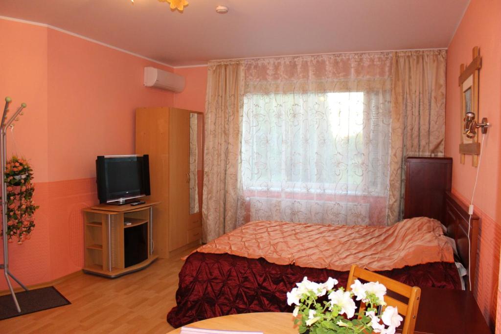 TV a/nebo společenská místnost v ubytování Fortuna Apartments