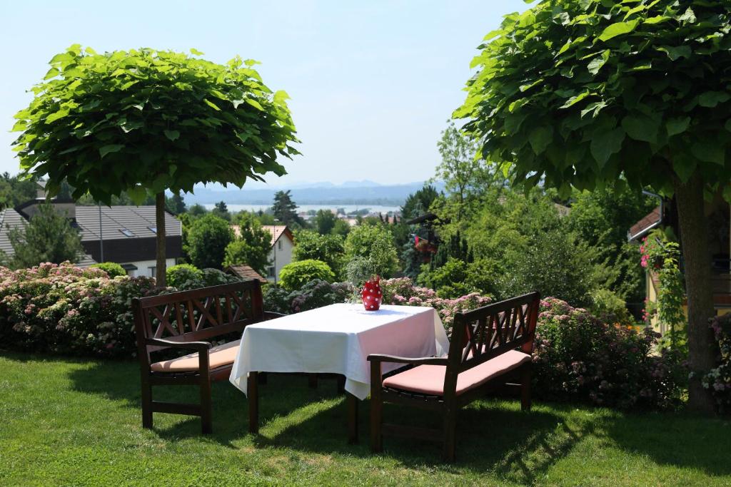 Příroda nedaleko bed and breakfast