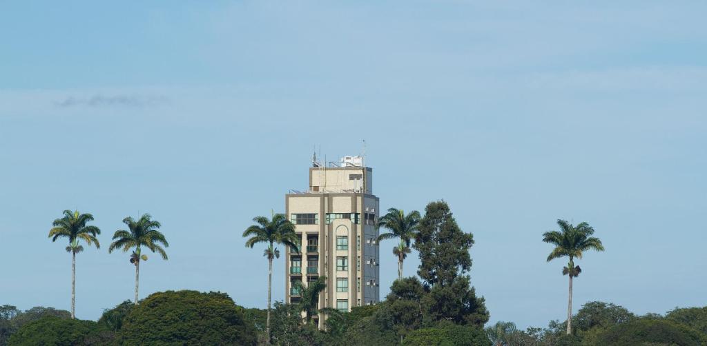 a tall building with palm trees in front of it at Serema Palace Hotel in Lavras