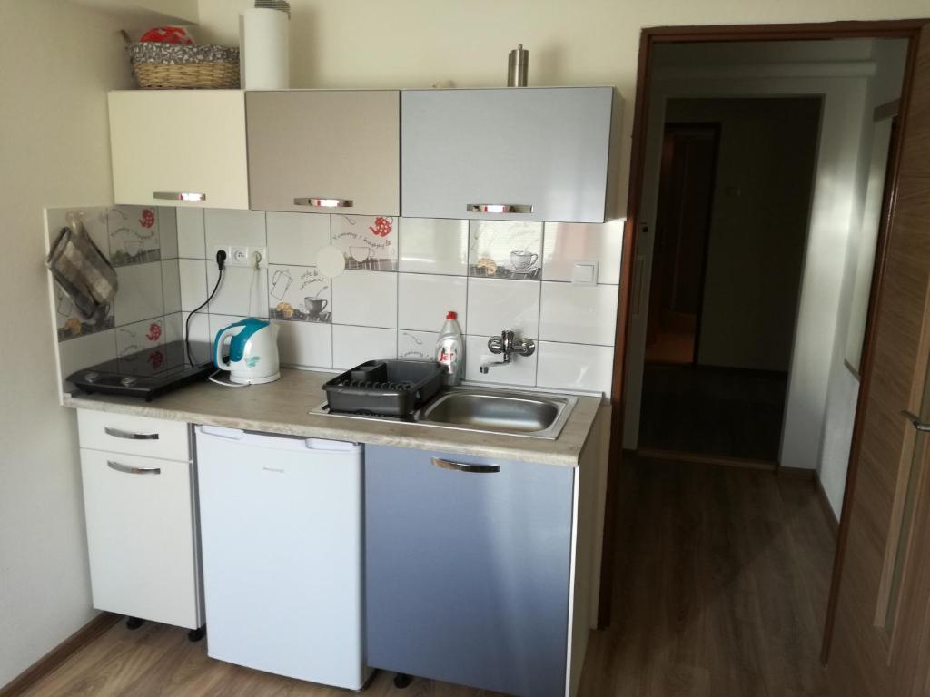 A kitchen or kitchenette at Apartmány Lenko - near thermal aquapark Tatralandia