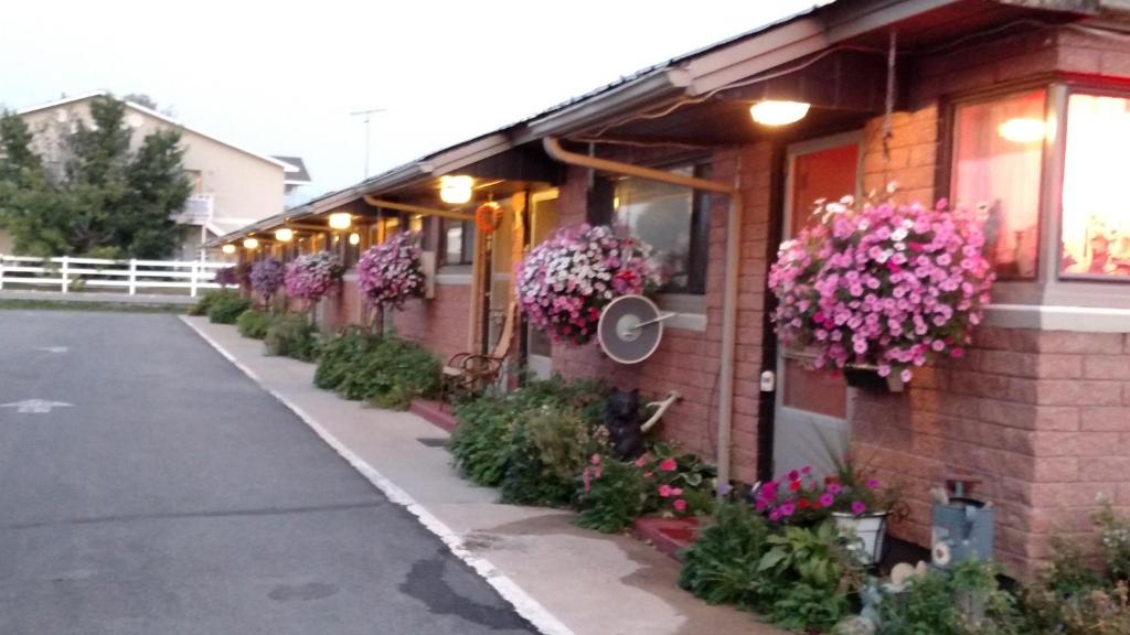 Budova, kde se motel nachází
