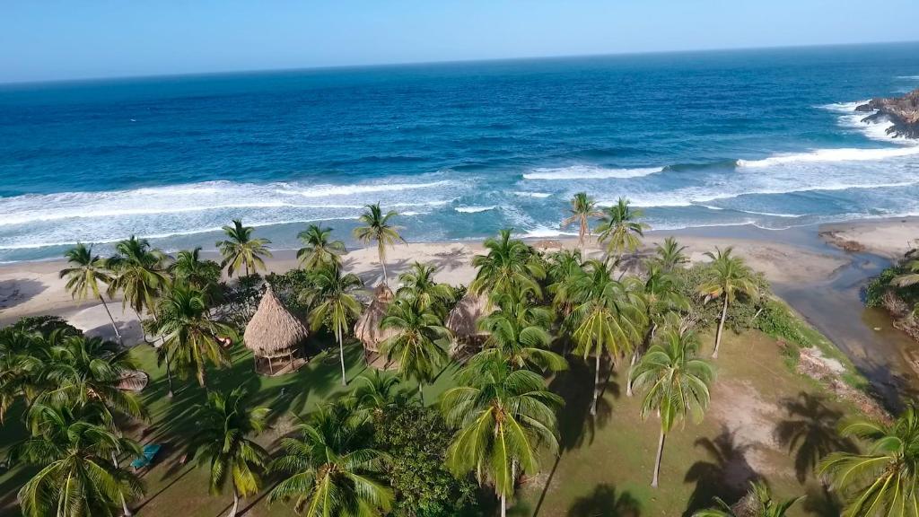 an aerial view of a beach with palm trees and the ocean at Ecolodge Playa Brava Teyumakke in Calabazo