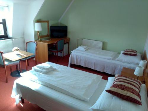 Zámek Havířov - Twin Room With Private Bathroom