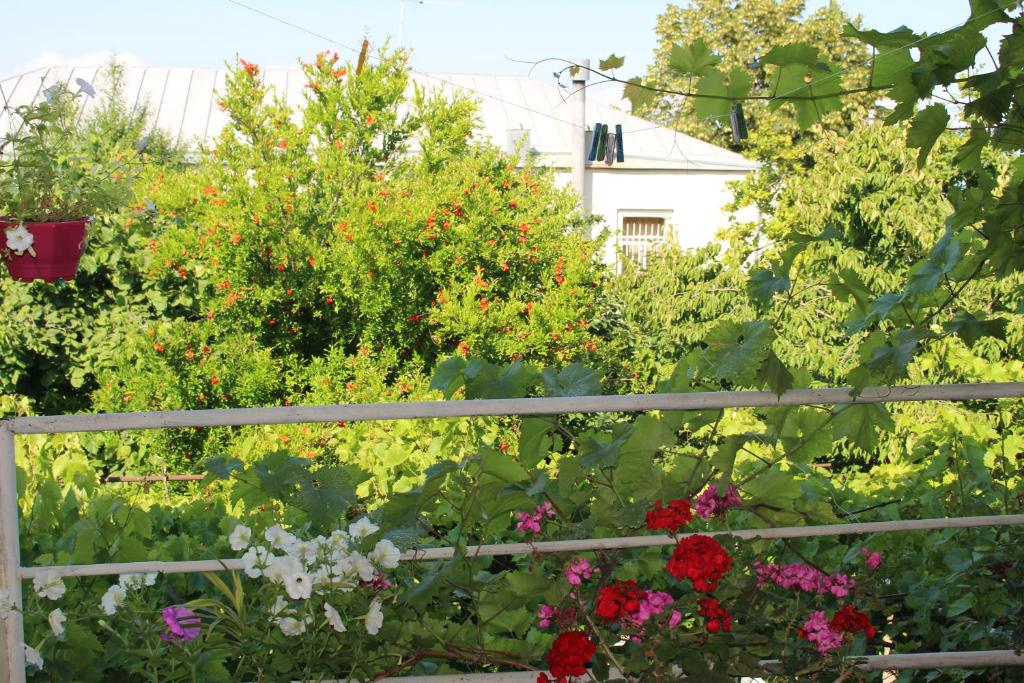 Zahrada ubytování Holiday Home Ekaterine