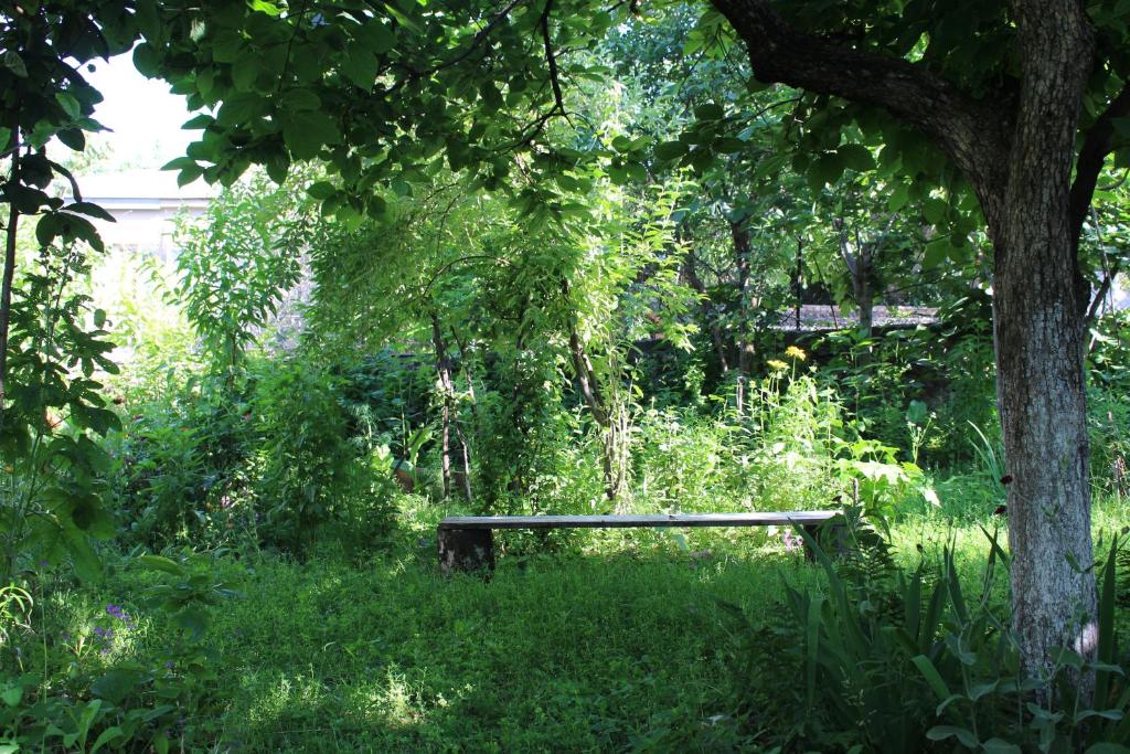 Zahrada ubytování Holiday Home Ekaterine