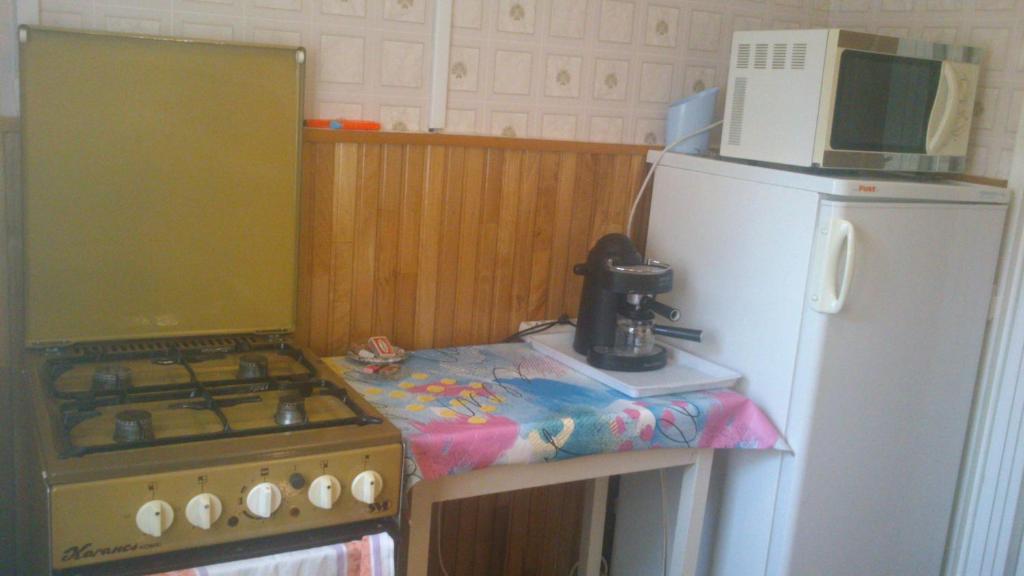 Kuchyň nebo kuchyňský kout v ubytování All-Inn Köre