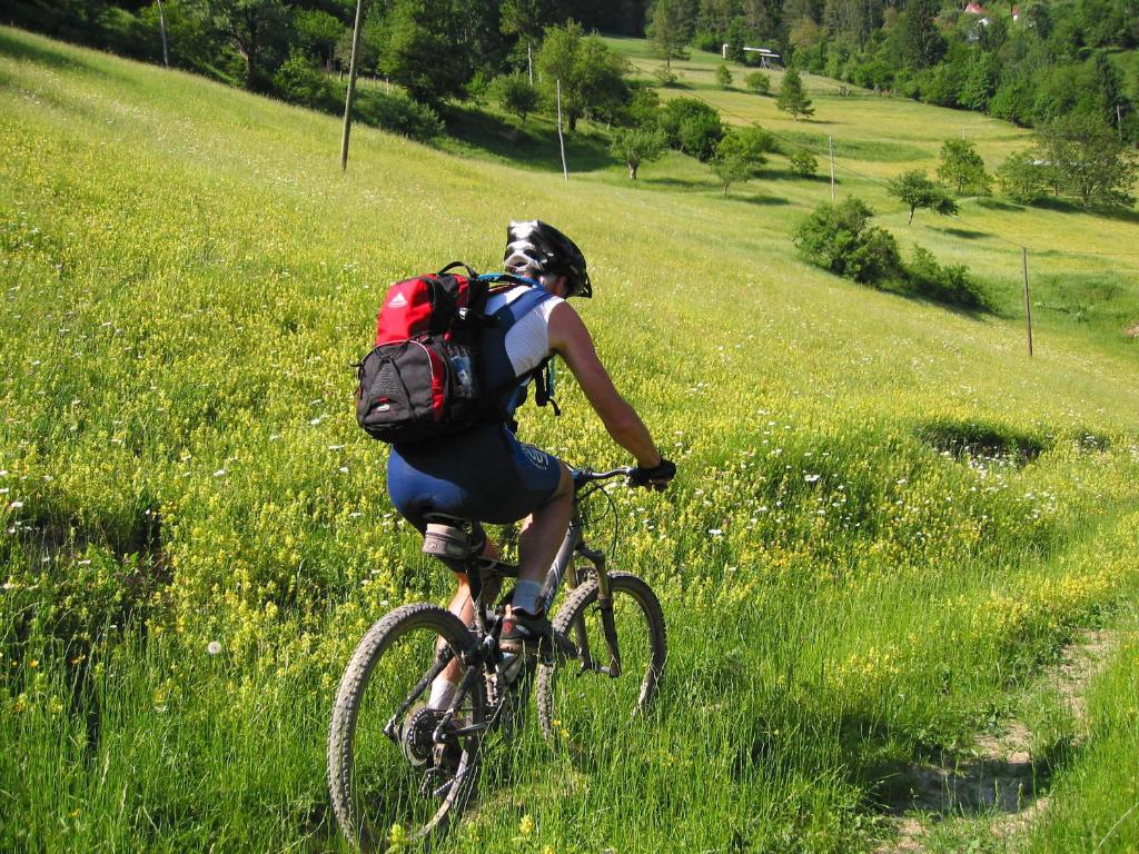 Hosté ubytování Hotel Center Pokljuka