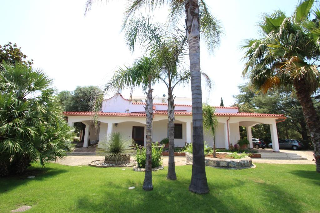 ein Haus mit Palmen im Hof in der Unterkunft Diddy's Country - Abbasciu in San Vito dei Normanni