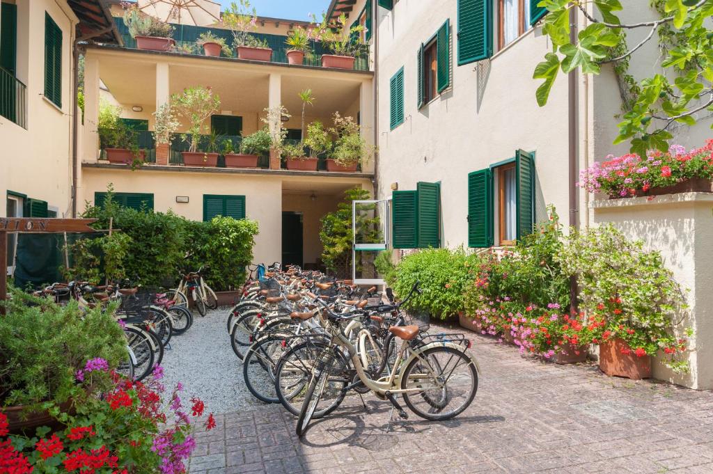 Jízda na kole v ubytování Hotel La Pace nebo okolí