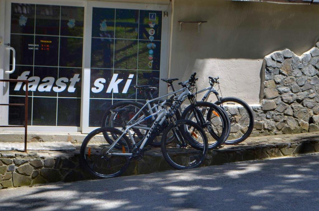 Jízda na kole v ubytování Pensiunea Faast nebo okolí