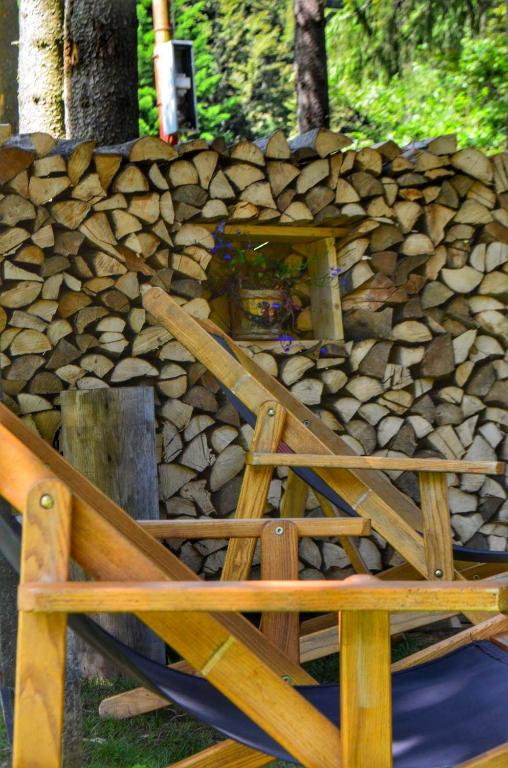 Fotografie z fotogalerie ubytování Pensiunea Faast v destinaci Predeal