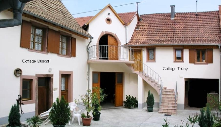 uma casa com os nomes das suas propriedades em Gîtes Le Tokay et Le Muscat em Gertwiller