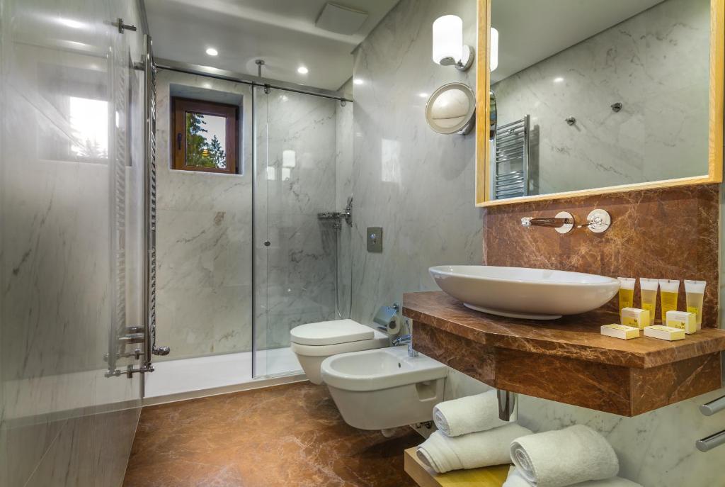 Ana Hotels Bradul Poiana Brasov - Resim 23