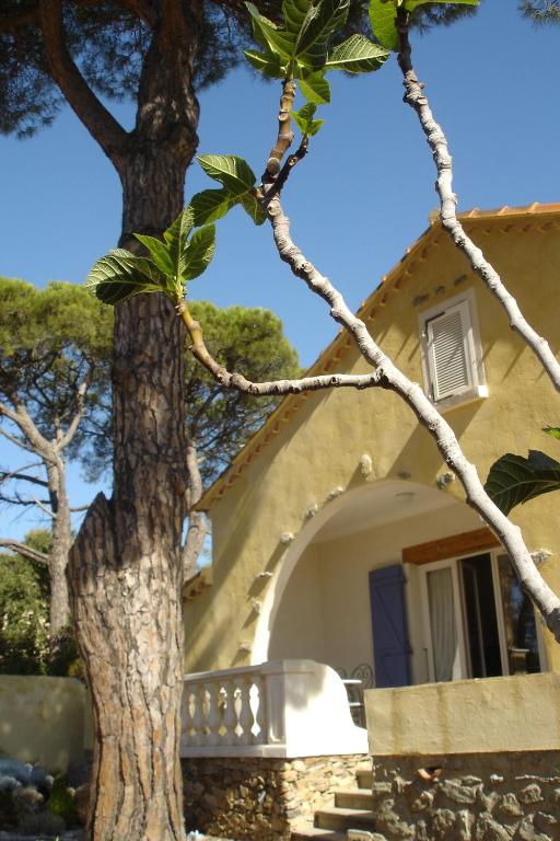 un arbre devant une maison jaune dans l'établissement Les Grillons, à Sainte-Maxime