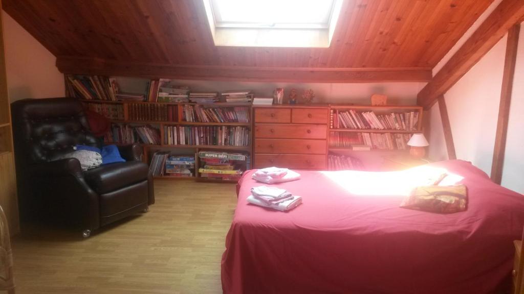 Knihovna v bed and breakfast
