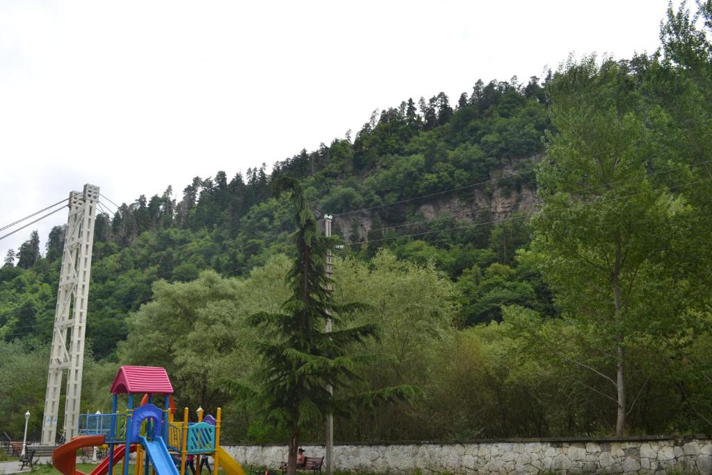 Příroda nedaleko hostelu