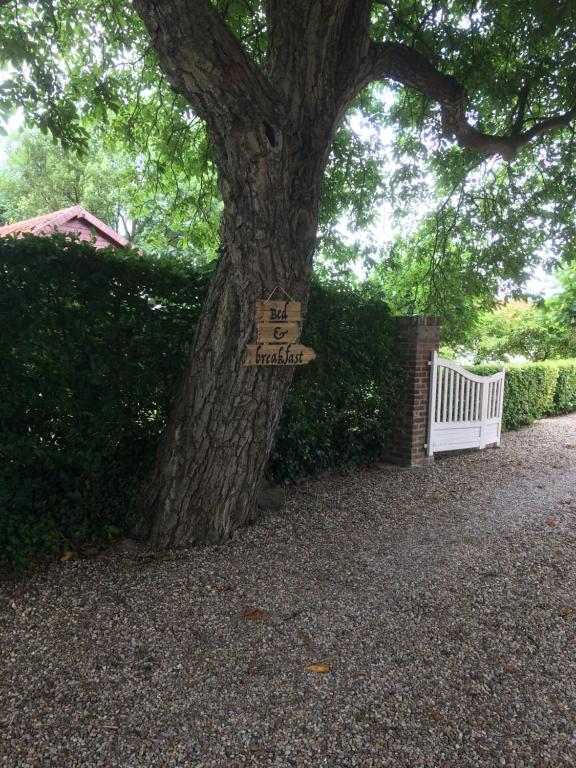 Zahrada ubytování B&B Ool Inclusive