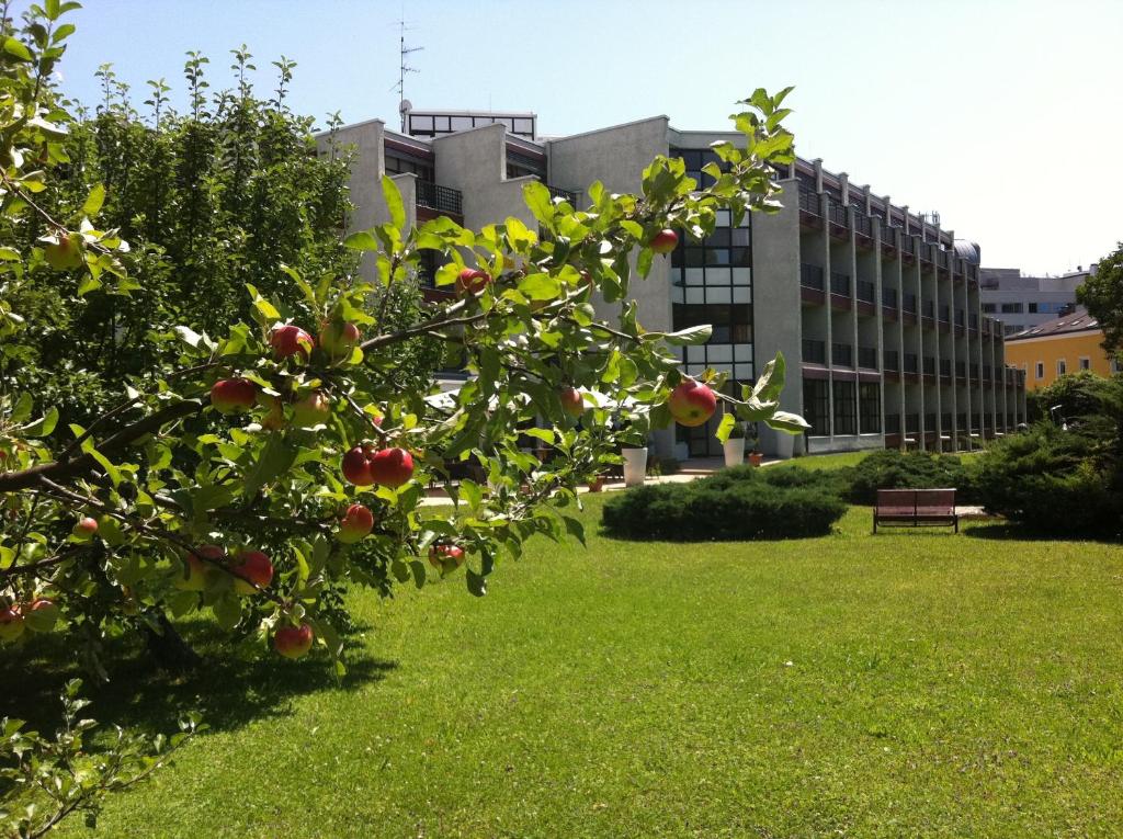 an apple tree in front of a building at Parkhotel Brunauer in Salzburg