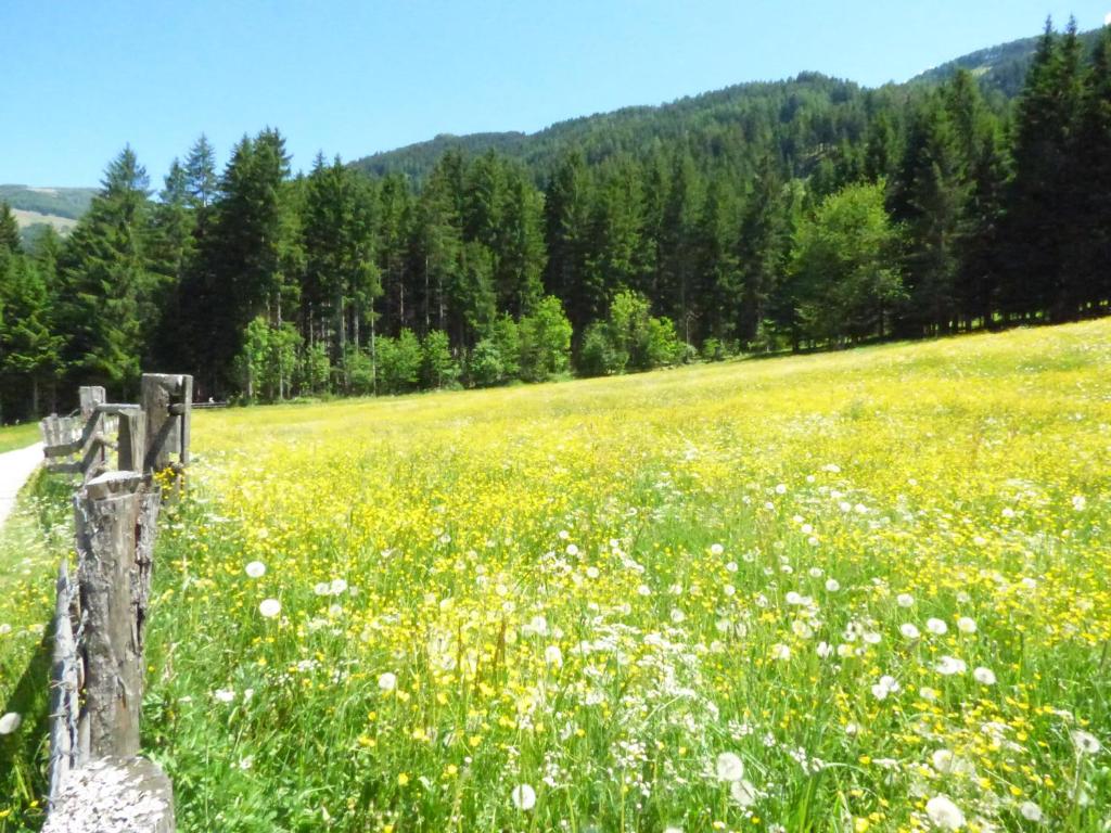 Příroda nedaleko penzionu – hostince