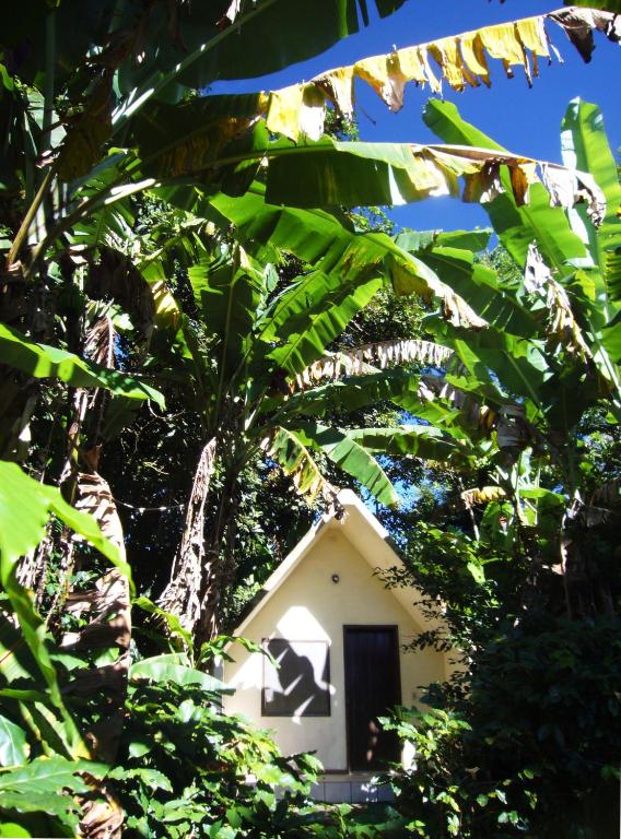 Um jardim no exterior de Chalés Sítio do Alemão