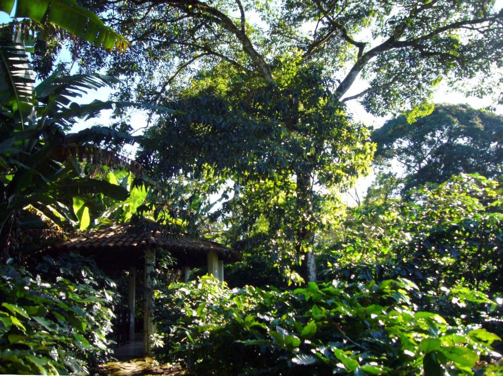 Um jardim no exterior de Chalés Sítio do Alemão