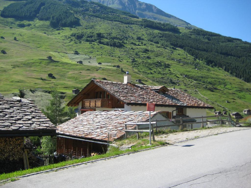 Příroda nedaleko apartmánu