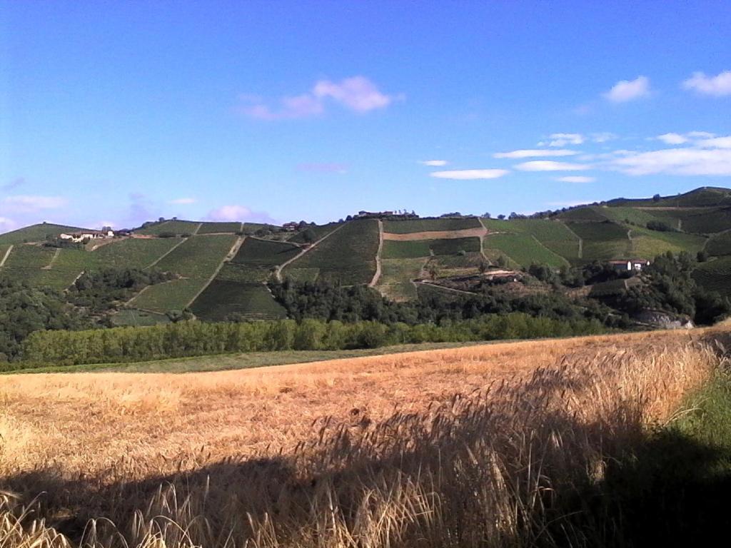 Príroda v okolí of the country house