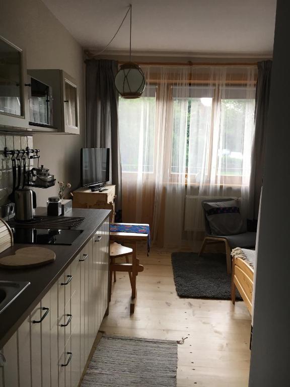 Kuchyňa alebo kuchynka v ubytovaní Nosalove Apartamenty