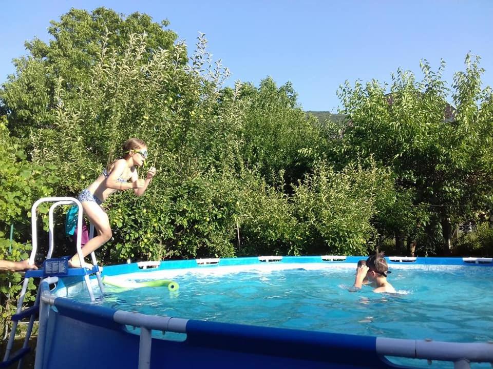 Bazén v ubytovaní Guest House Dimitrije alebo v jeho blízkosti
