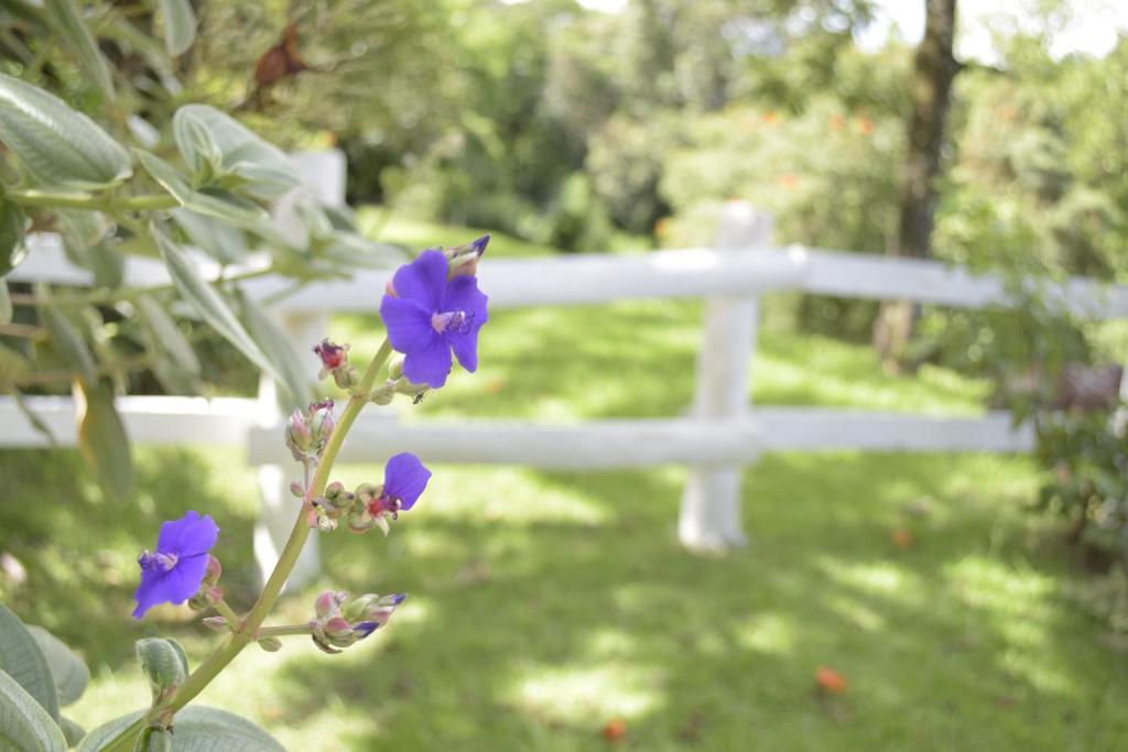  Hotel Fazenda Fonte Colina Verde