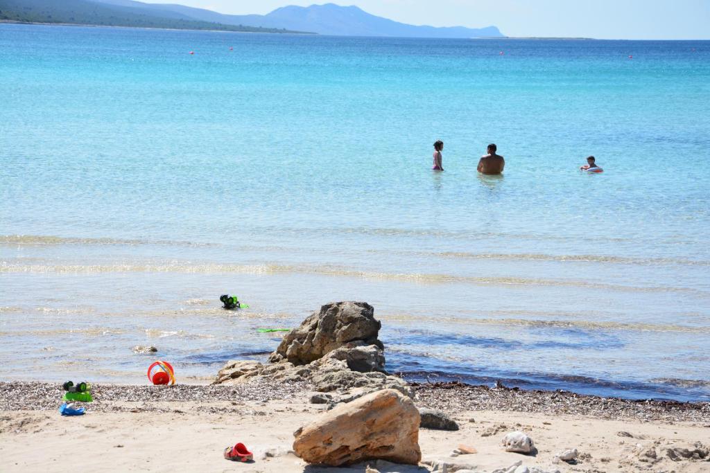 a group of people in the water at the beach at Apartments Marta in Verunić
