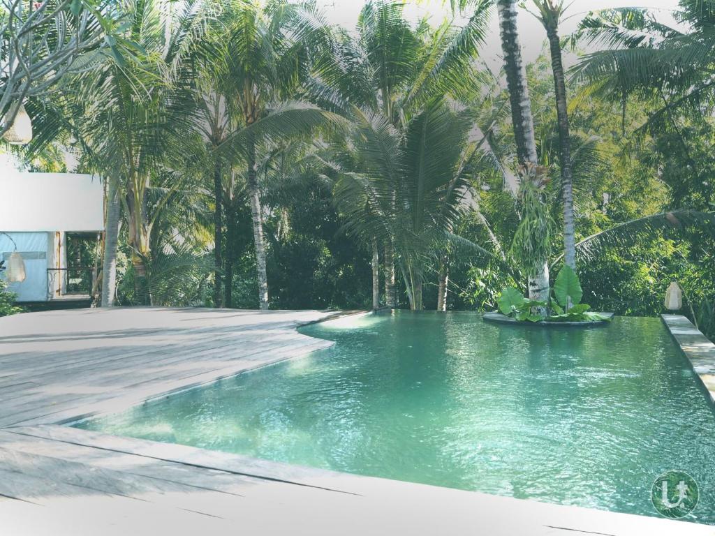 Bazén v ubytování Ubud Tropical nebo v jeho okolí