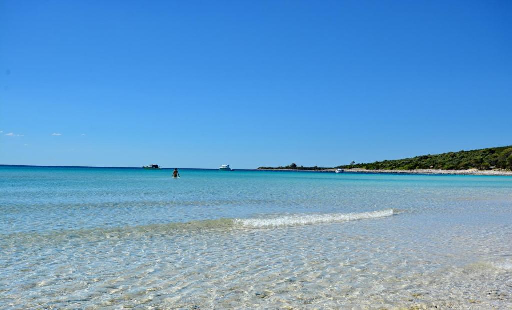 a beach with a person in the water at Apartments Marta in Verunić