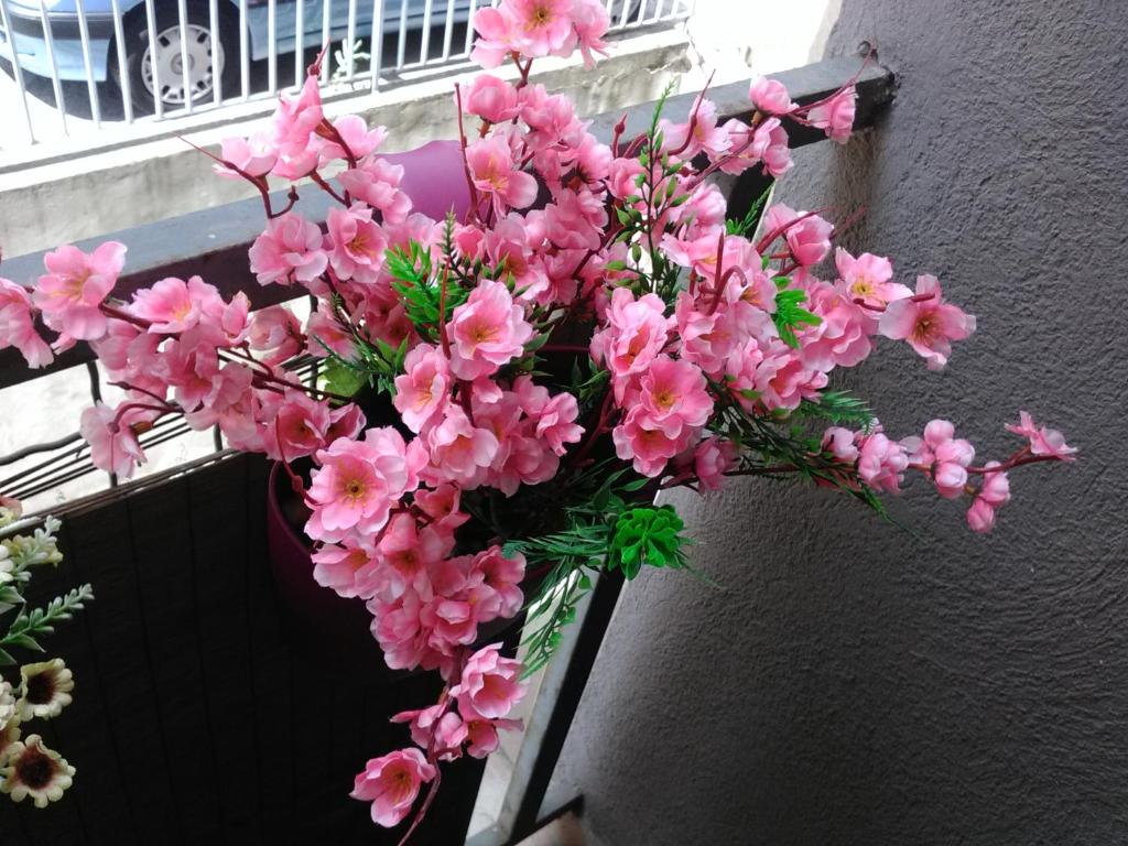 a bouquet of pink flowers in a vase at Keti 1 in Belgrade
