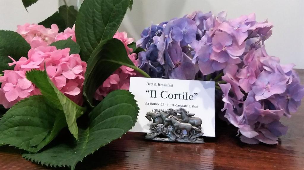 カゾラーテ・センピオーネにあるB&B il Cortile Malpensaの紫紫紫の花の横に座る本