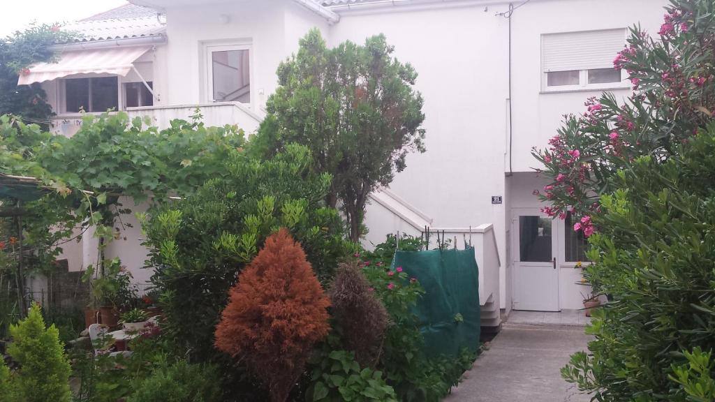 a white house with trees and plants in front of it at Apartment Pijer in Novalja