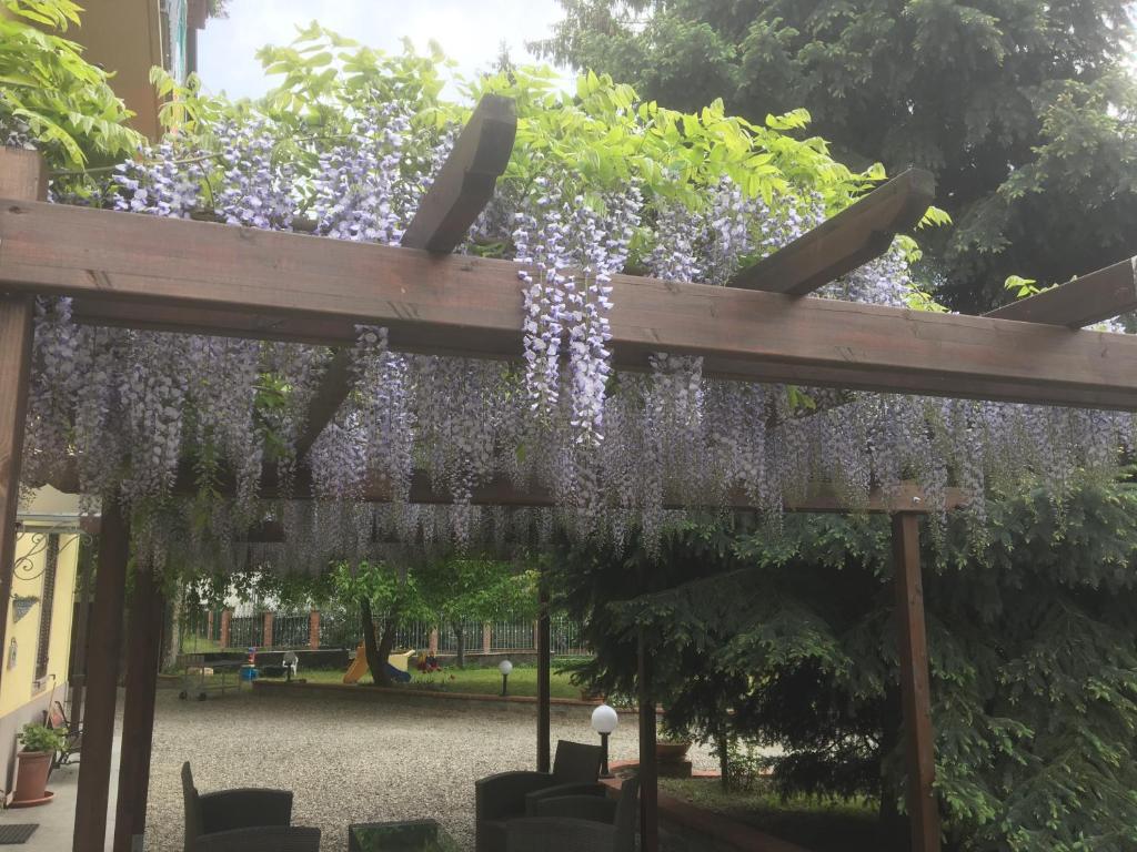 Zahrada ubytování B&B Cantine Pietronero