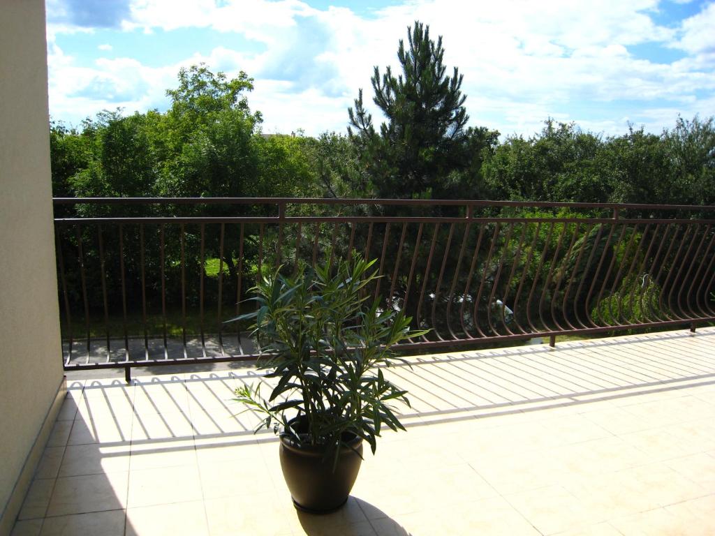 Pokoje Gościnne Lawenda - 19