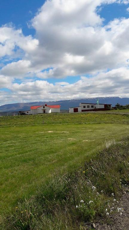 un campo de césped con edificios en el fondo en Glæsibær, en Reynistaður