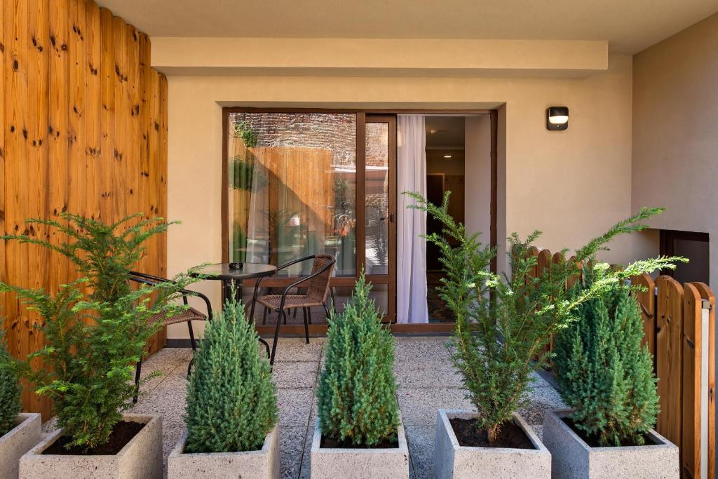 Blumenhaus Sibiu - Habitación Doble Con Vista Al Jardín (salvie)