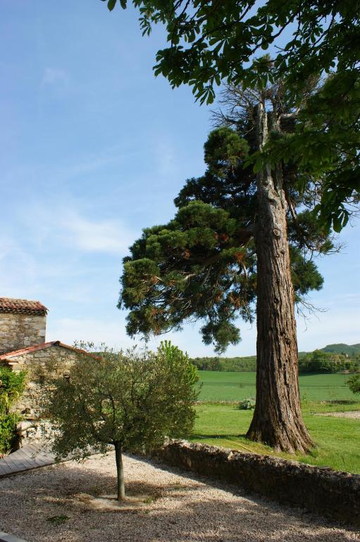 a tree next to a building and a tree at Le Prieuré des Sources in La Répara