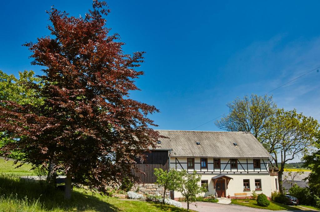 dom z drzewem przed nim w obiekcie Berghof w mieście Zeulenroda-Triebes