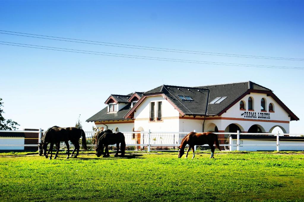 a group of horses grazing in a field in front of a house at Farma Loreta in Vlašim
