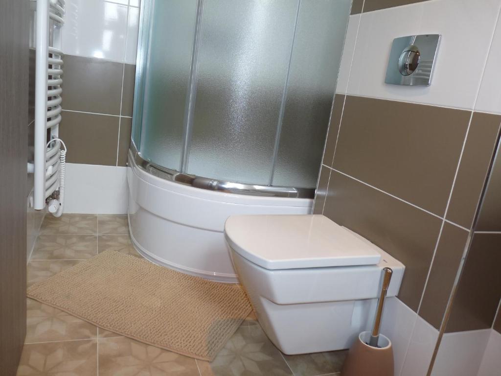 a bathroom with a white toilet and a shower at Farma Loreta in Vlašim