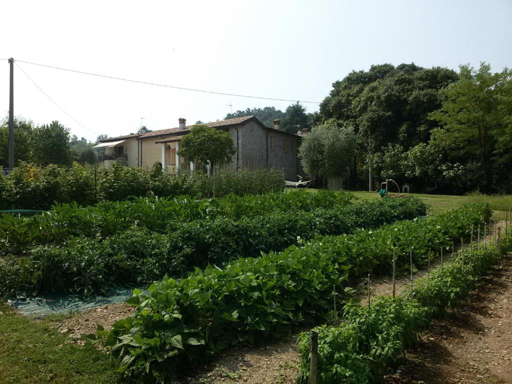 Zahrada ubytování Agriturismo la Scala