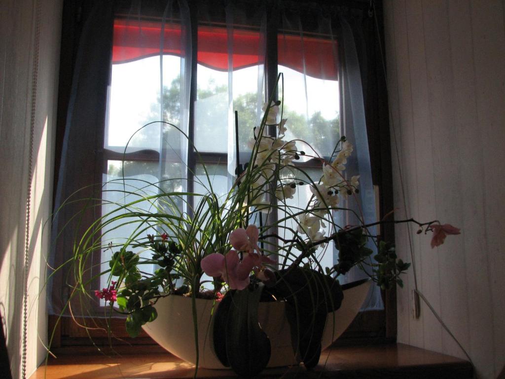 Le Pas de L'Ane Chambres d'hôtes - Deluxe Double Room