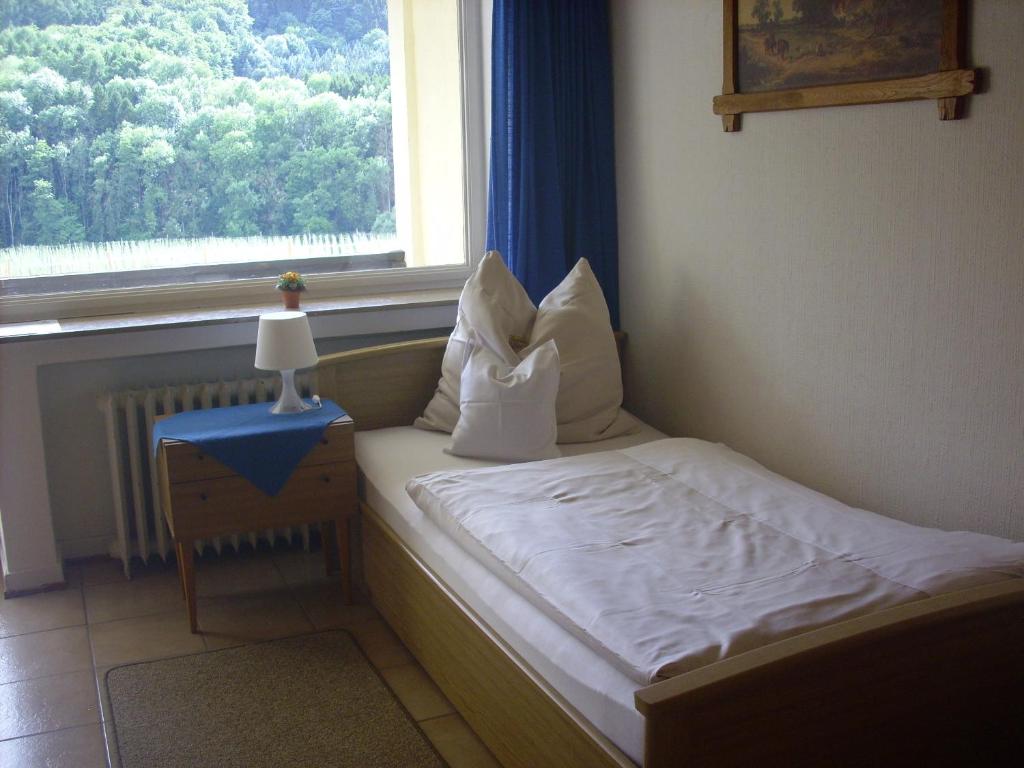 Hotel Europa - Single Room