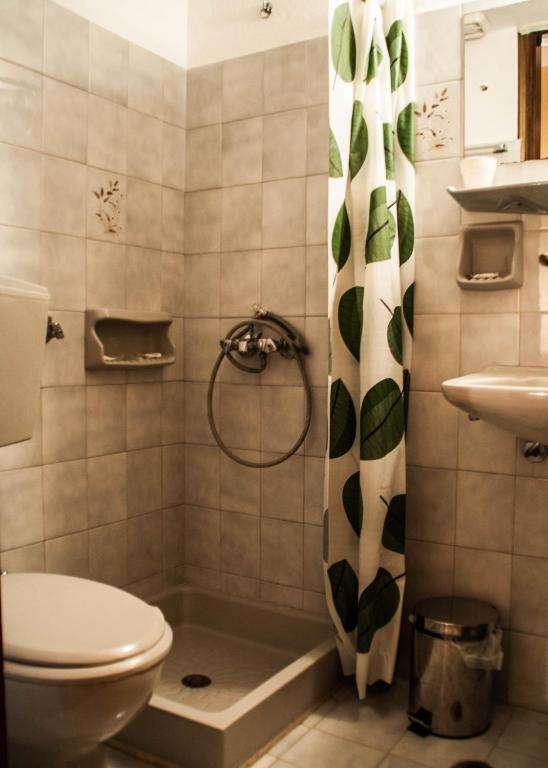 łazienka z toaletą i zasłoną prysznicową w obiekcie Christofer's Rooms w mieście Zagora