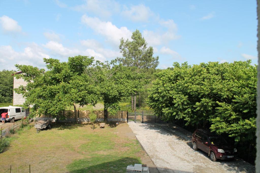Zahrada ubytování Guesthouse Mirabela