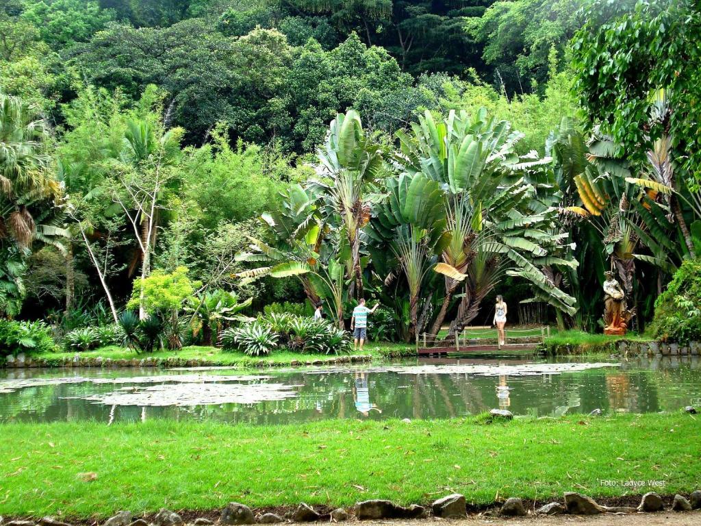  JUMP IN BED JARDIM BOTANICO 1